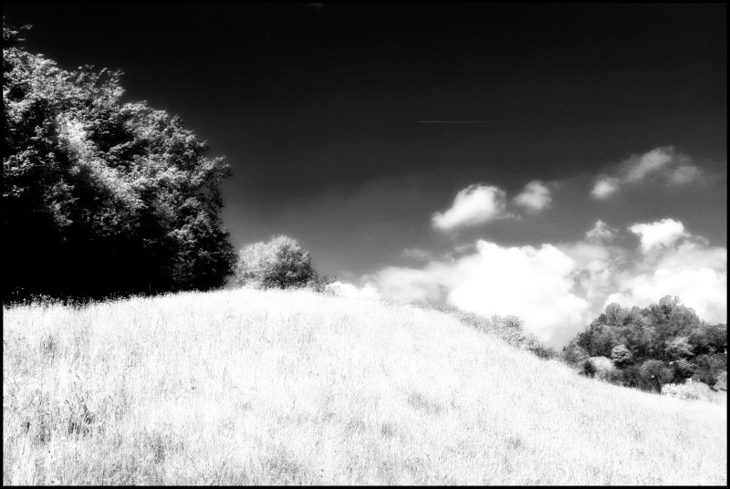 infrared 1.jpg