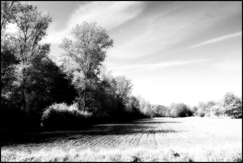 infrared 2.jpg