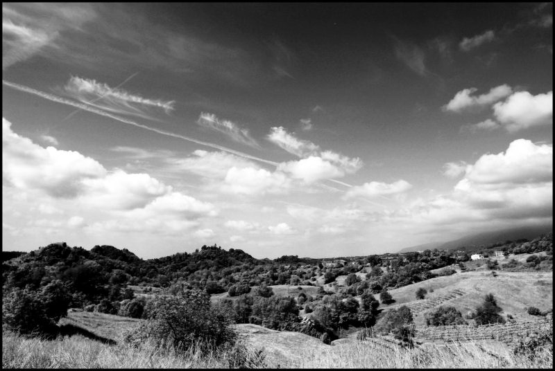 infrared 4.jpg