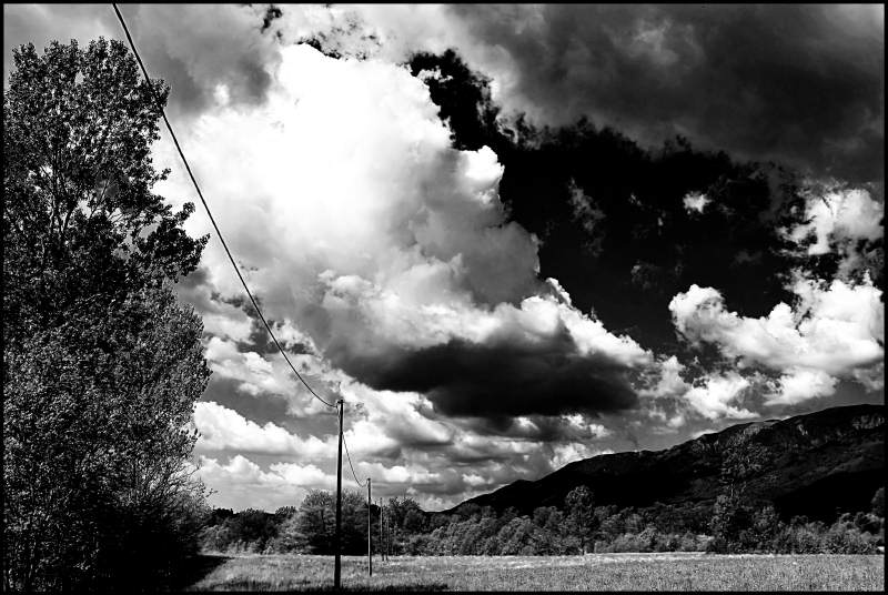 infrared 5.jpg