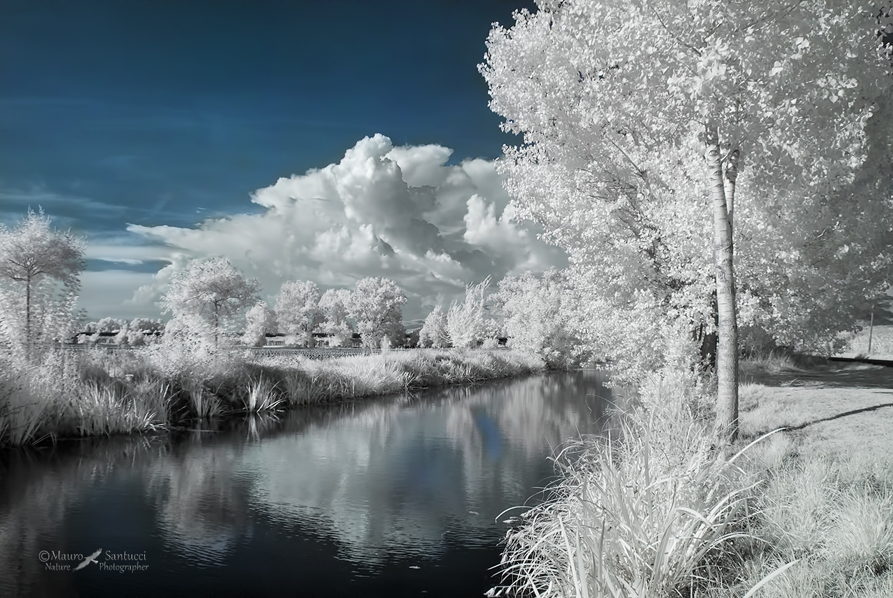 Infrared_DSC_4908.jpg