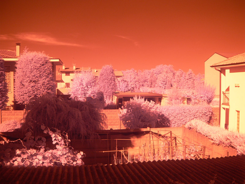 IR2-color.jpg