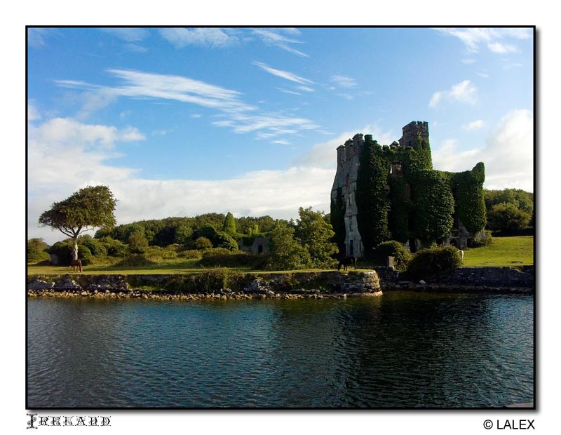ireland-30.jpg