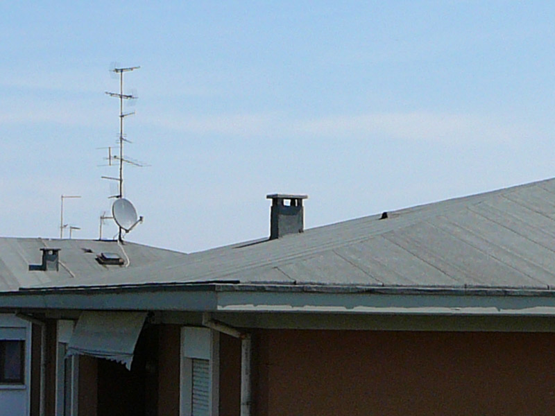 iso100_35mm_crop.jpg
