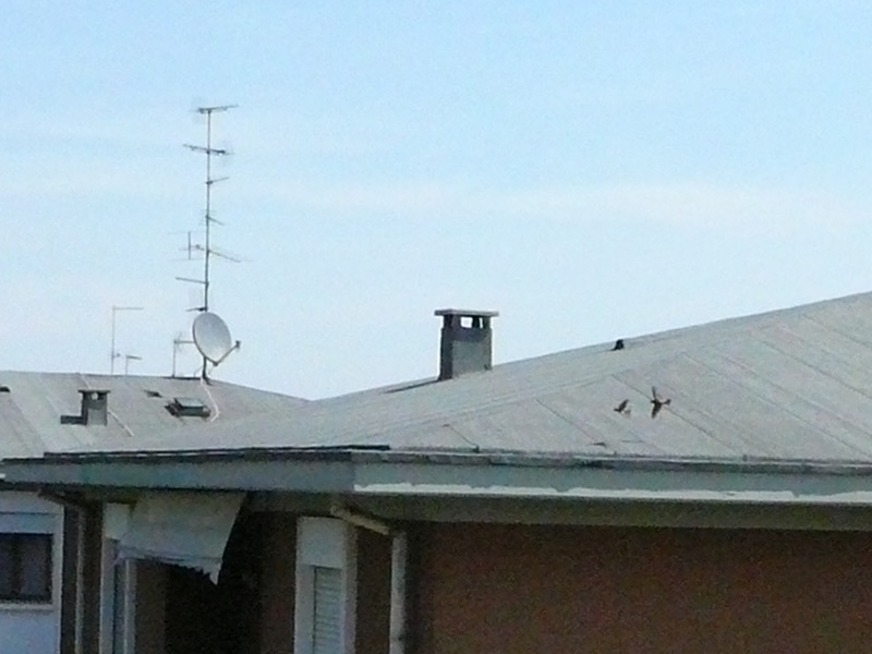 iso400_35mm_crop.jpg