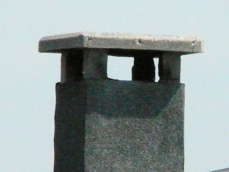 iso800_350mm_crop.jpg