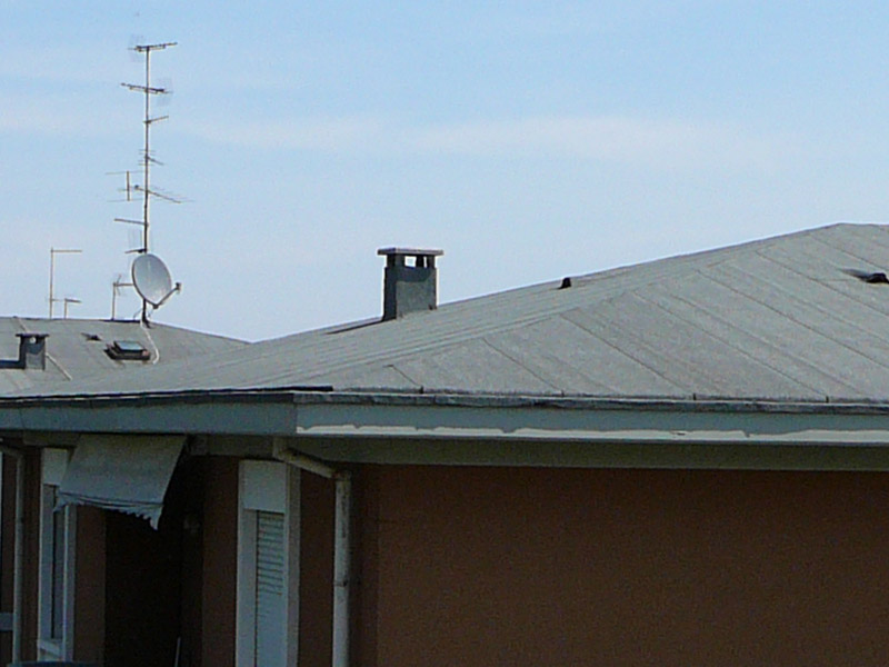 iso80_35mm_crop.jpg