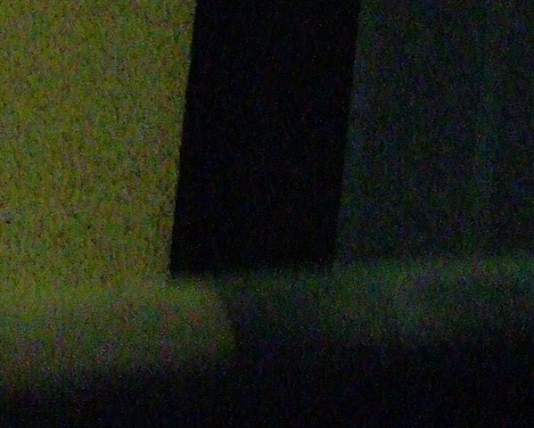 iso 1600_crop.jpg
