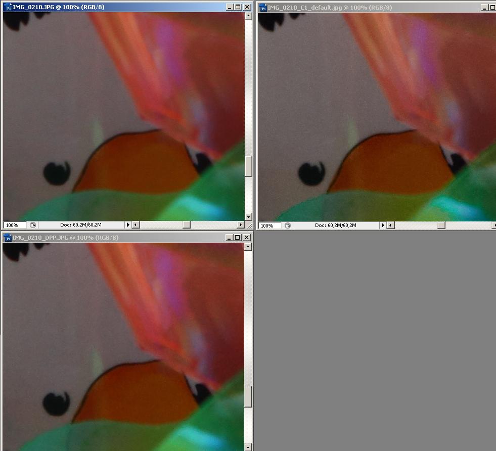 iso_800_2.JPG
