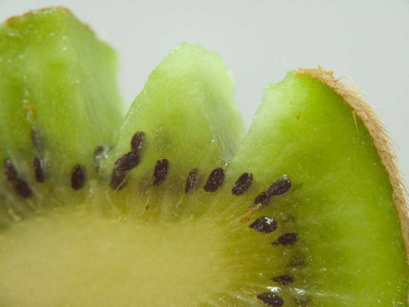kiwi2.jpg