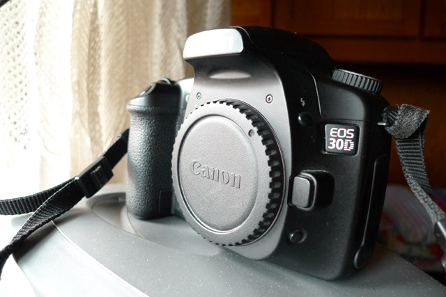 L1020132.jpg
