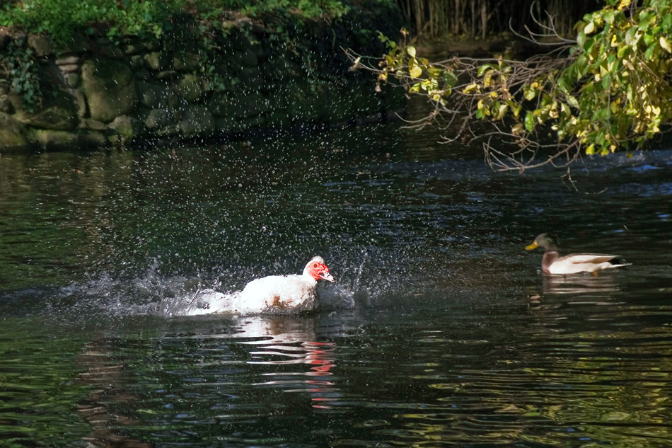 La-vita-del-Parco-(3).jpg