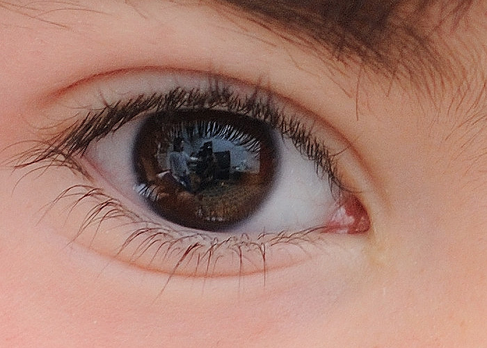 lmb_2802crop.jpg