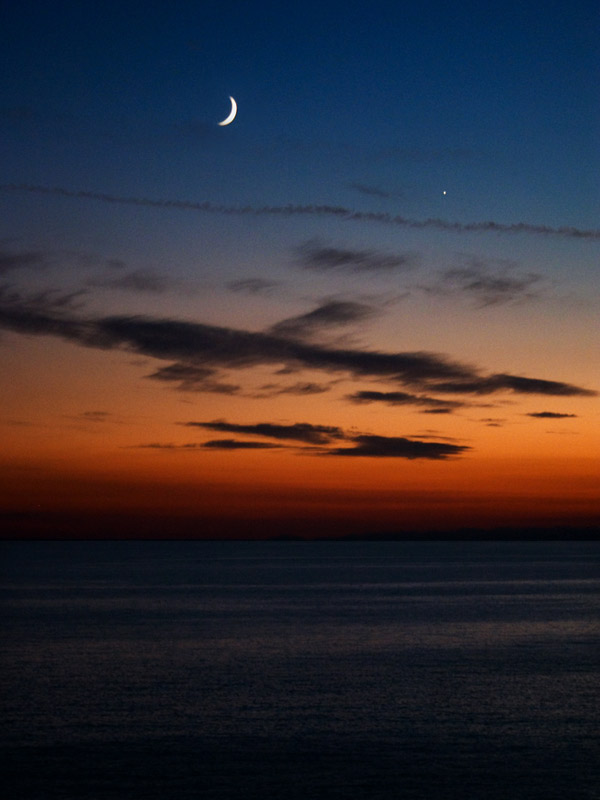 LUNA-VERT-WEB.jpg