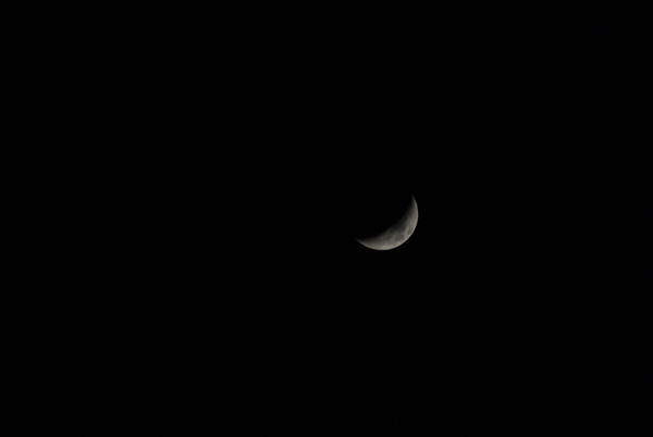 luna01.jpg