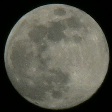 Luna16012006.jpg