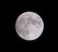 luna2.jpg