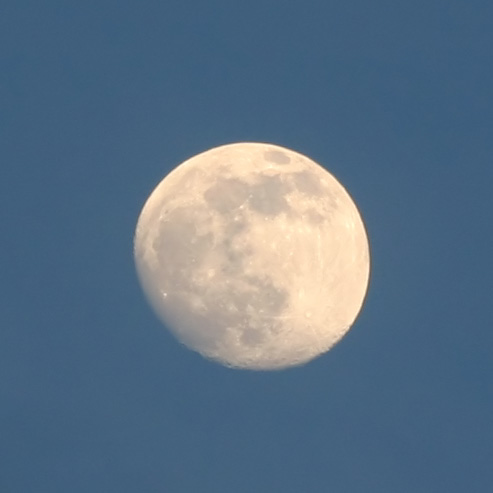 Luna@200mm.jpg