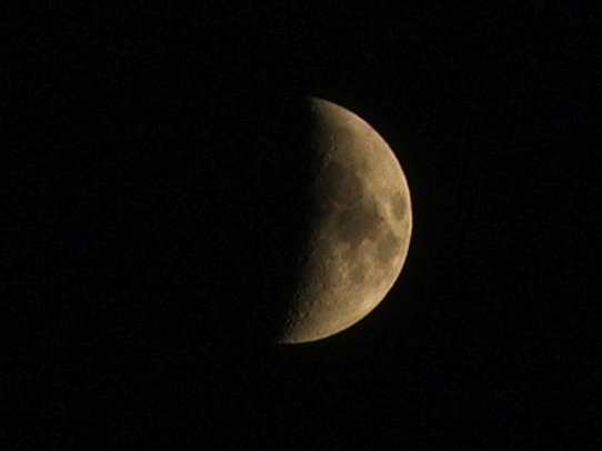 luna.jpg