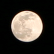 Luna@55mm.JPG