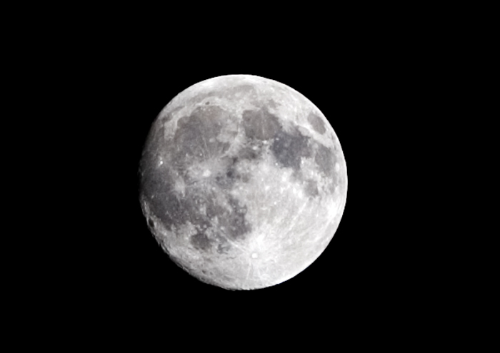 luna.jpg