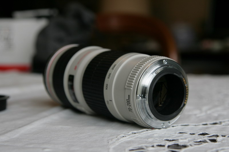 LZ9W2535.JPG