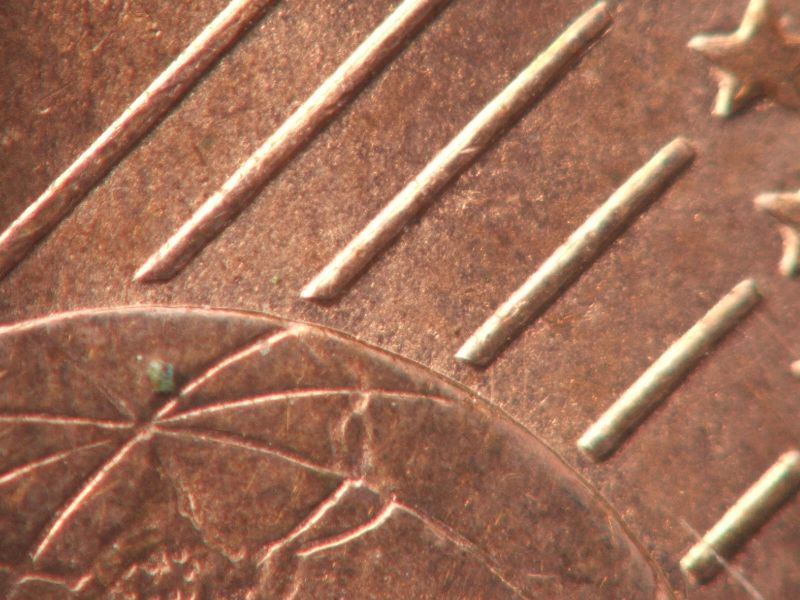 macro2.jpg