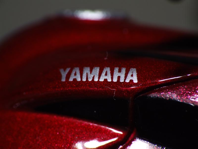 Macro -1.JPG