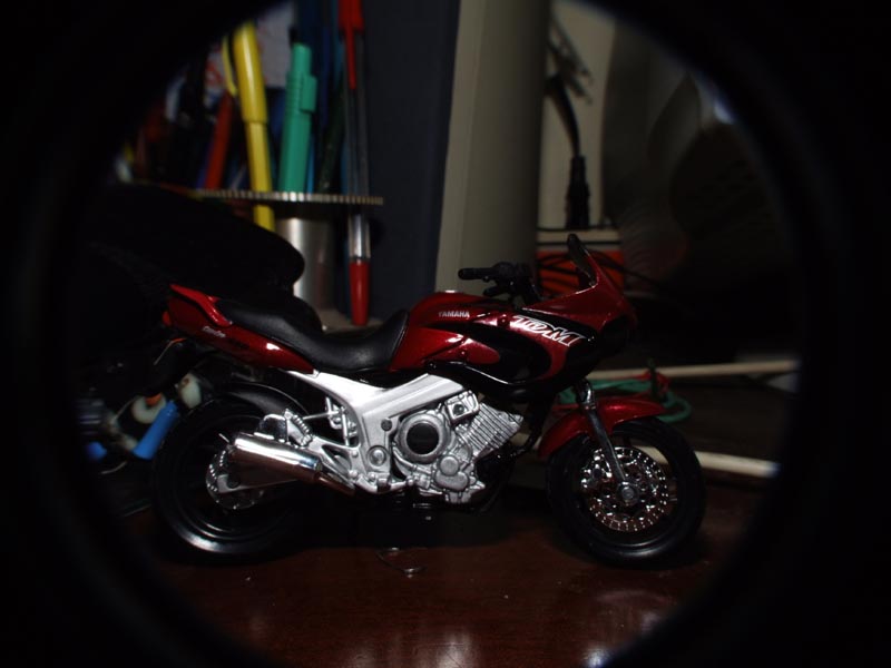Macro -2.JPG