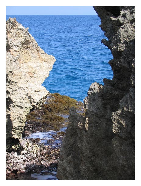 Mare02.jpg