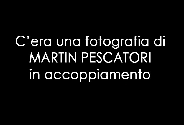 martin.jpg