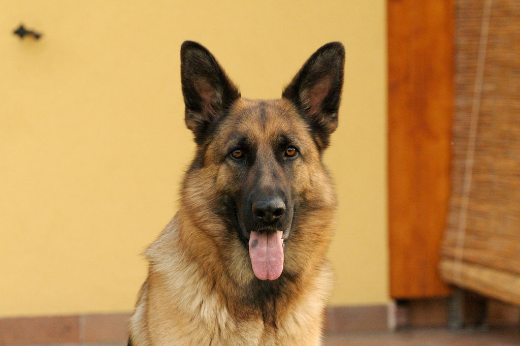 Masha(5,6-1).jpg