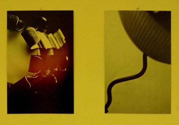 meduse.jpg