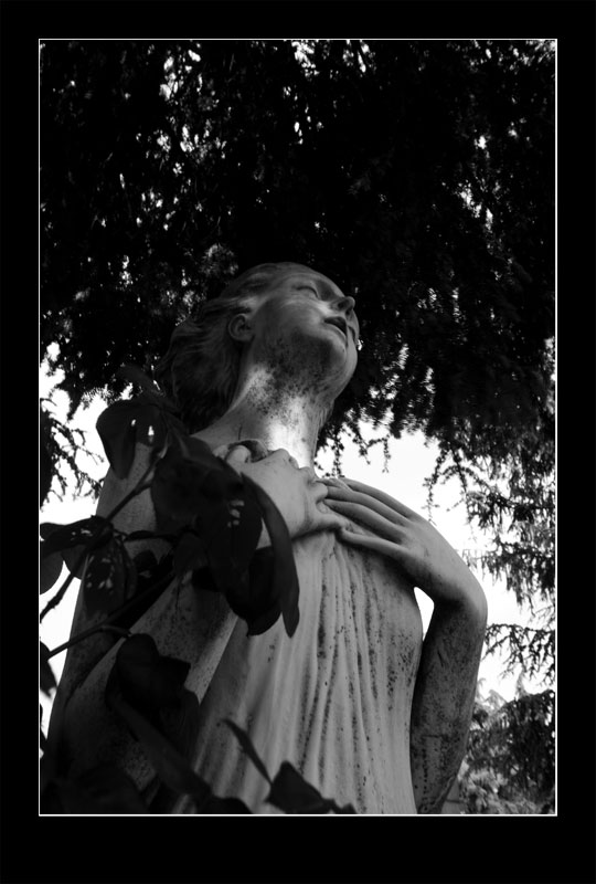 monumentale19.jpg
