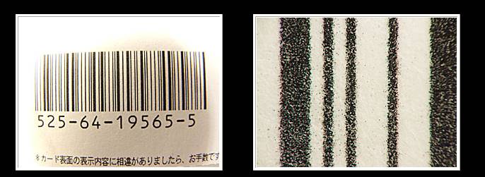 msn-500_300.jpg