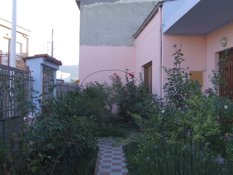 n.JPG