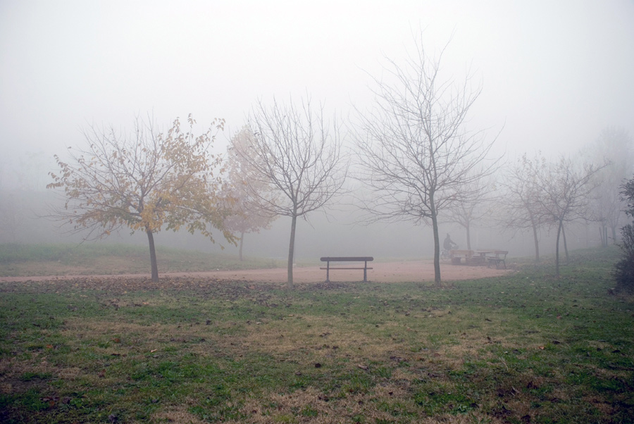 Nebbia-nel-Parco-(11).jpg