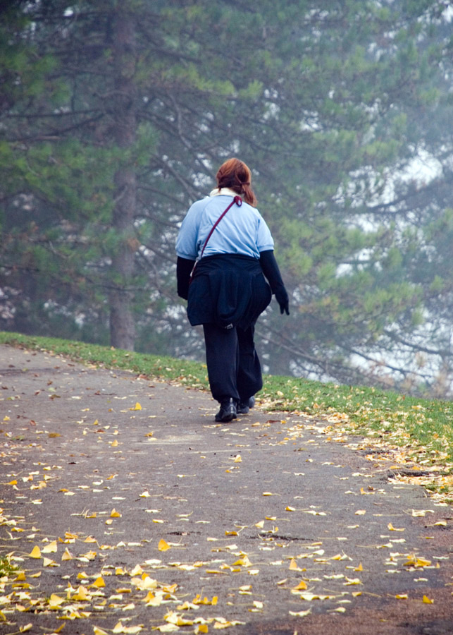 Nebbia-nel-Parco-(4).jpg