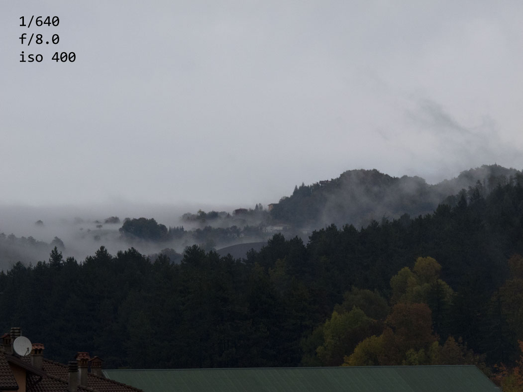 nebbia1.jpg