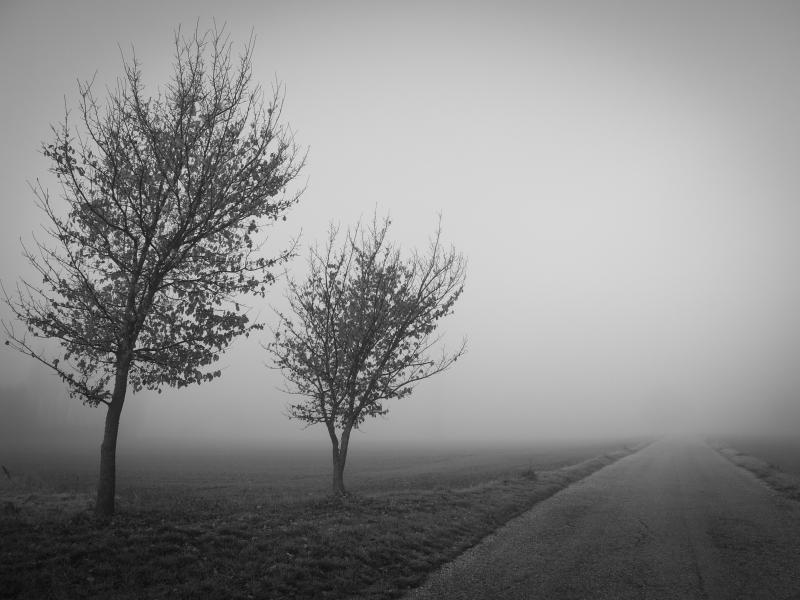 nebbia.JPG