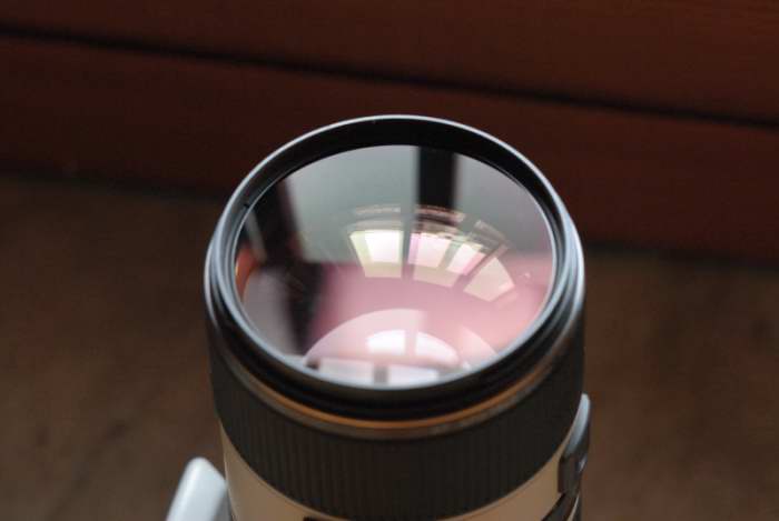 NEF_5497_310.JPG