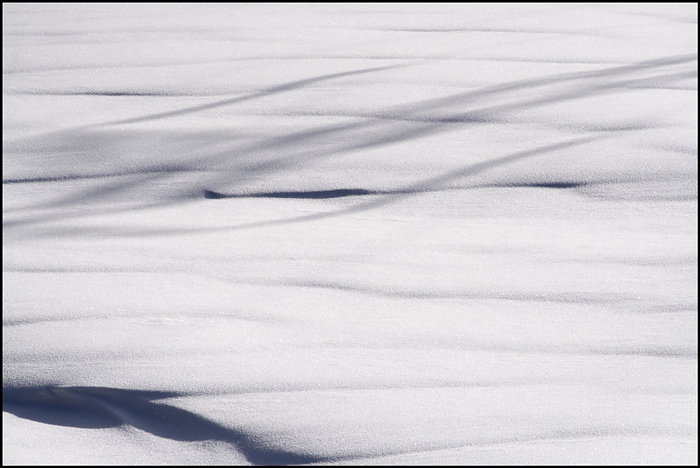 neve2.jpg