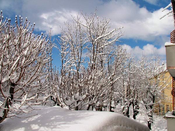 nevicata2.jpg