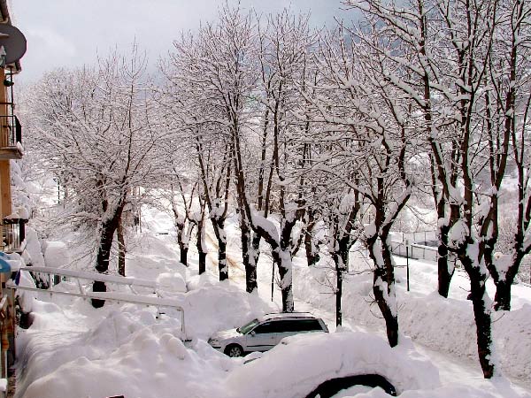 nevicata.jpg