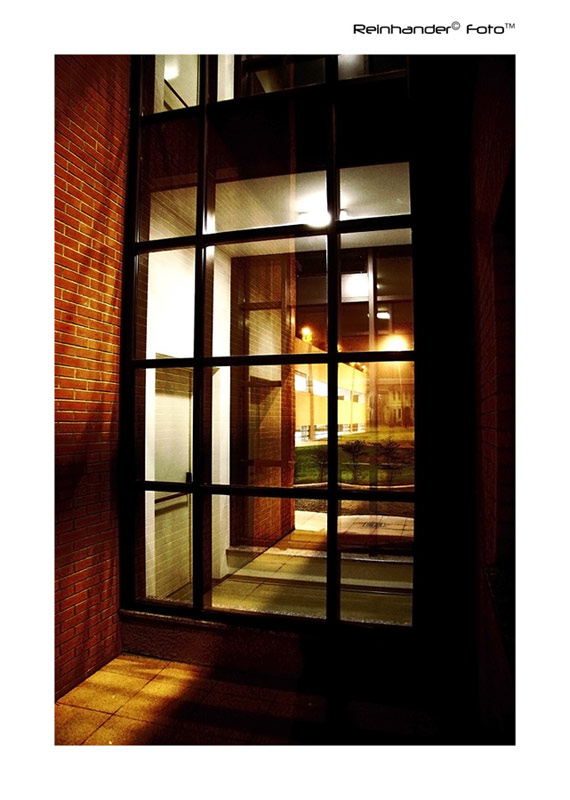 New-Biblioteca-18.jpg