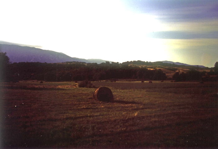 notte.jpg