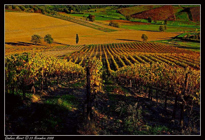 NOV048-copyweb.jpg