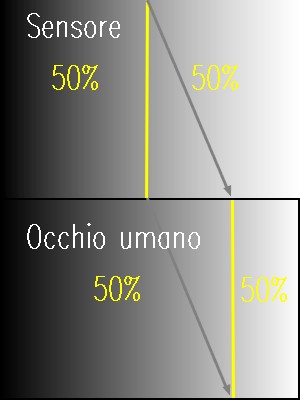 Occhio e Sensore.jpg