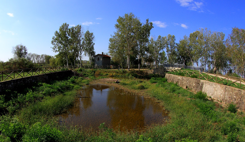 Ormai-non-c'è-più-acqua.jpg