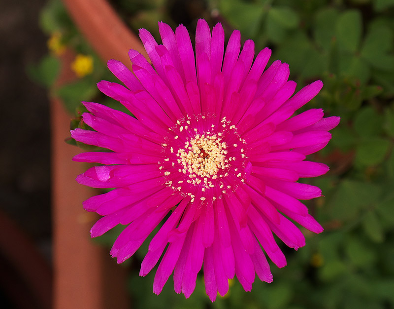P1000146.jpg